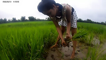 誘惑的なアジアの女の子との公共の場での出会い